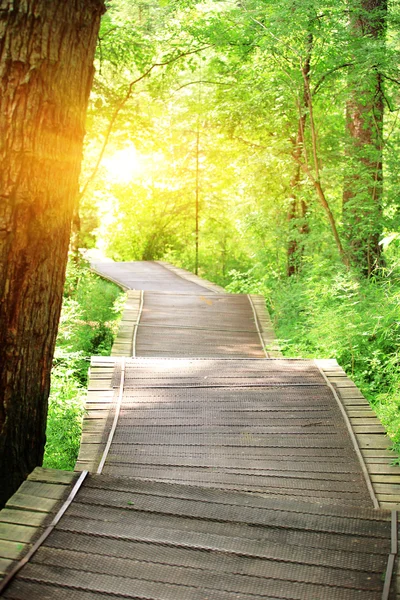 Hiking trail on jiuzhaigou national park — Stock Photo, Image