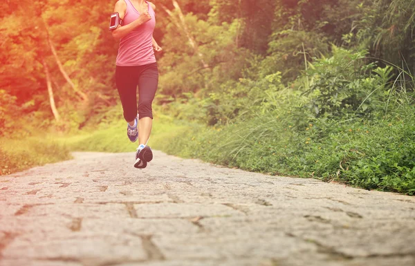 Runner  running on forest — Stock Photo, Image