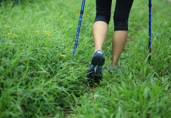 Woman hiker hiking — Stock Photo, Image