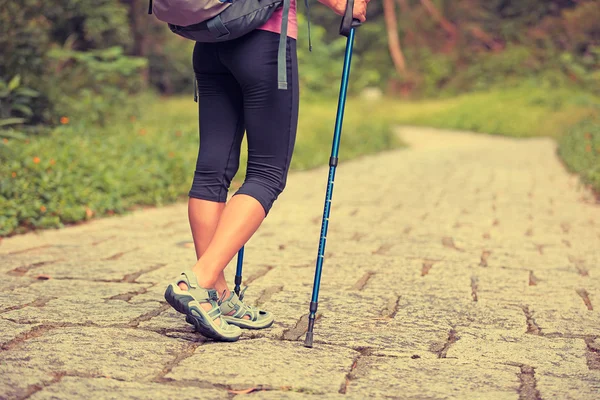 Wanderin wandert im Wald — Stockfoto