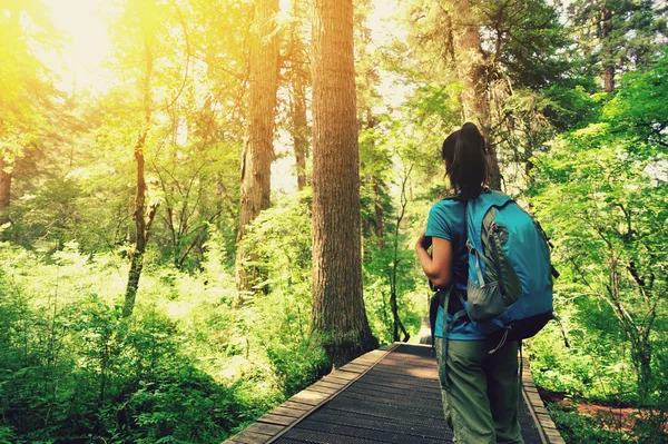 Hiking woman on forest — Stock Photo, Image