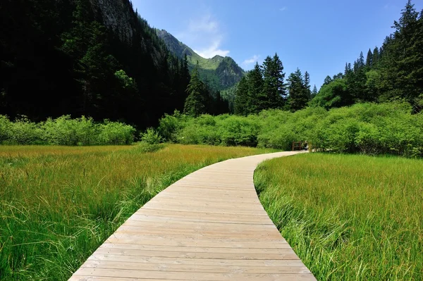 Jiuzhaigou Milli Parkı — Stok fotoğraf