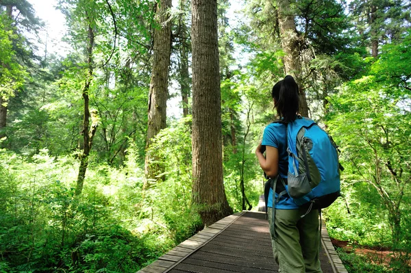 Hiking woman on forest — Stock Photo, Image