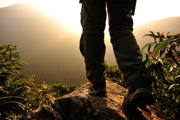 Mulher caminhante stand na montanha pico de rock — Fotografia de Stock