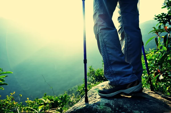 Wanderin steht auf Berggipfel-Felsen — Stockfoto