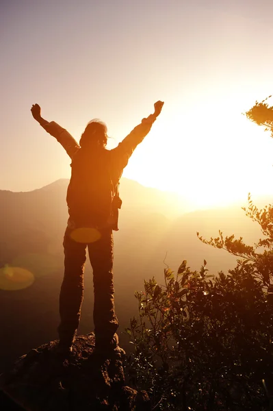 Аплодирующая женщина турист с распростертыми объятьями на вершине горы — стоковое фото