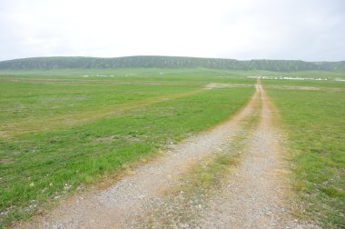 Çimenlerin üzerinde iz