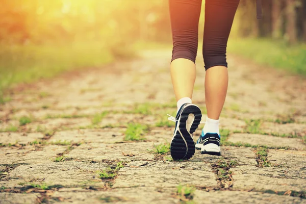 Jovem mulher fitness pernas andando na trilha da floresta — Fotografia de Stock