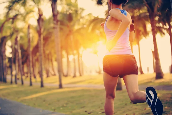 tropikal Parkı'nda çalışan runner atlet. kadın fitness koşu egzersiz sağlık kavramı.