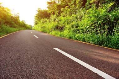 Ormandaki boş autobahn