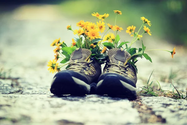 Sneakers with flowers inside — Stock Photo, Image