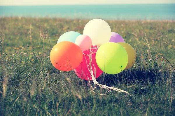 Ballonnen op groen gras — Stockfoto