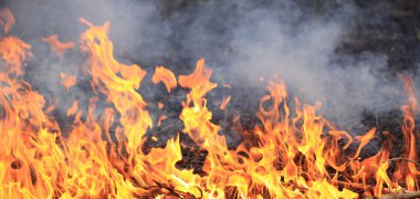 Kuru çimenler yanıyor.