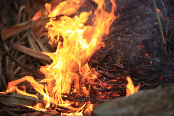 Herbe Sèche Brûlant Avec Des Flammes Feu — Photo