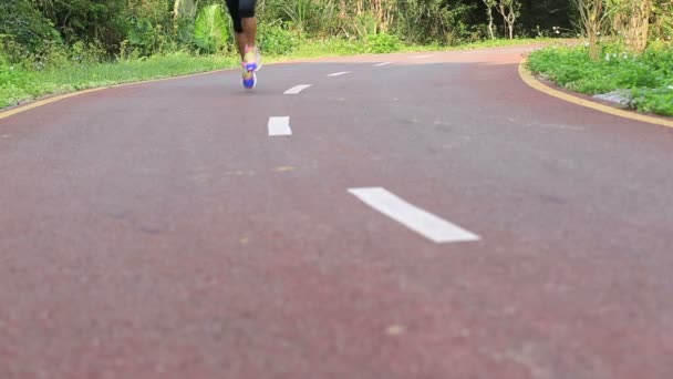 Fitness žena nohy běží — Stock video