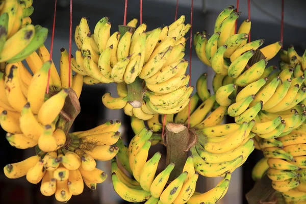 Yellow bananas in market — Stock Photo, Image