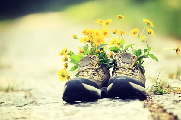 Hiking boots with yellow wild flowers — Stock Photo, Image