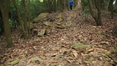 Ormanda yürüyüş yapan kadın.