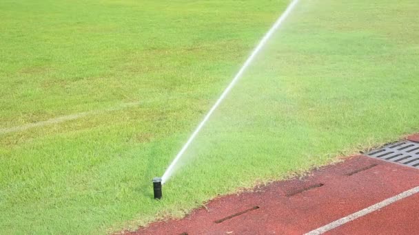 Estádio de relva de irrigação — Vídeo de Stock