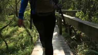 Erkek ormanda Hiking