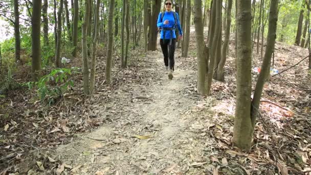 Mujer senderismo en el bosque — Vídeo de stock