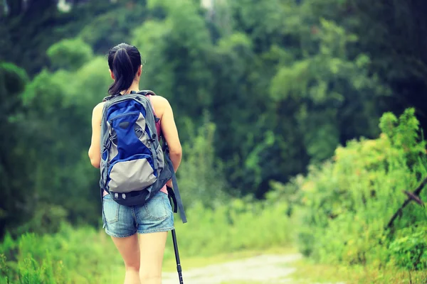 Young Woman Hiking Stone Trail Rear View — Stock Photo, Image