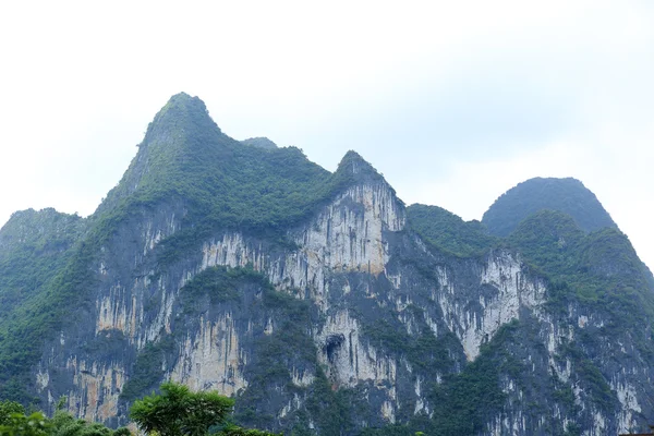 Neun Pferde malen Berg — Stockfoto