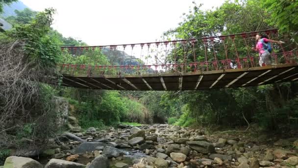 Ponte de travessia feminina na floresta — Vídeo de Stock