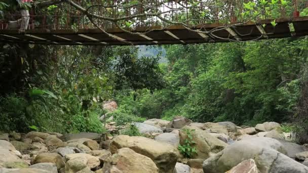 Puente de cruce femenino en el bosque — Vídeos de Stock