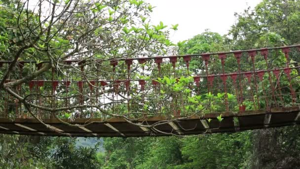 Vrouwelijke kruising brug in bos — Stockvideo