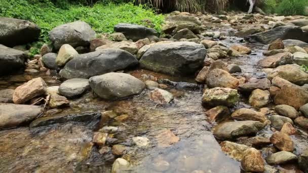 Female hiker walking across stream — Stock Video