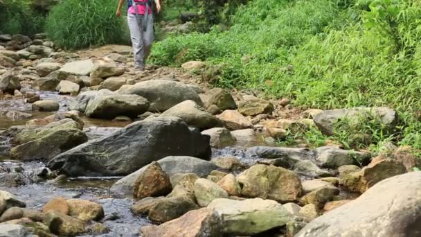 Female hiker walking across stream — Stock Video