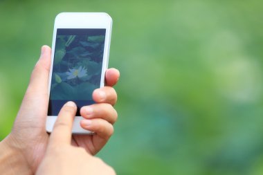 Eller Lotus fotoğraf çekimi