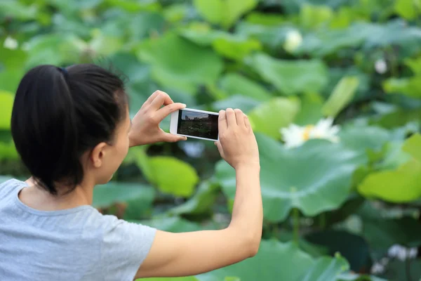 Mujer Manos Tomando Fotos Con Teléfono Inteligente — Foto de Stock