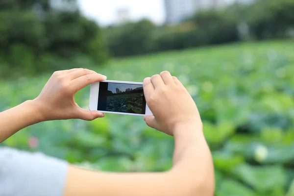 Mujer Manos Tomando Fotos Con Teléfono Inteligente — Foto de Stock