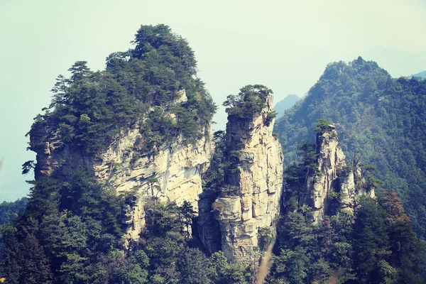 Park narodowy Zhangjiajie — Zdjęcie stockowe