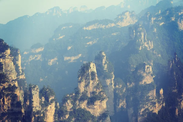 Parco Nazionale Della Foresta Zhangjiajie Cina — Foto Stock