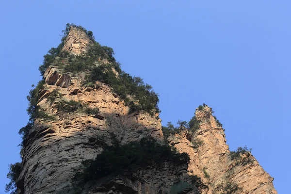 Zhangjiajie national park — Stock Photo, Image