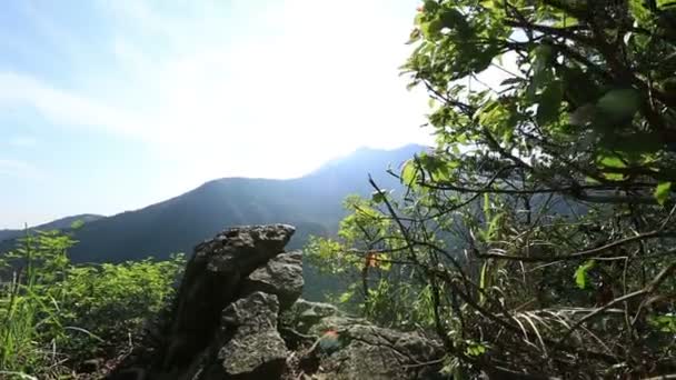 Mujer excursionista en pico de montaña — Vídeo de stock