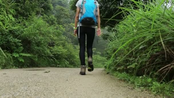Mulher caminhante na trilha da montanha — Vídeo de Stock