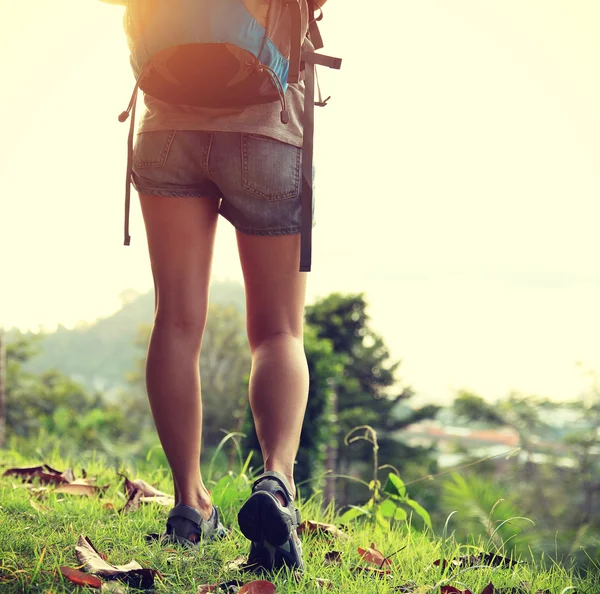 Mulher caminhante no pico da montanha — Fotografia de Stock