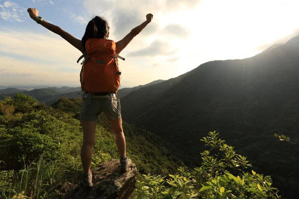 Animadora Excursionista Con Los Brazos Abiertos Acantilado Pico Montaña — Foto de Stock