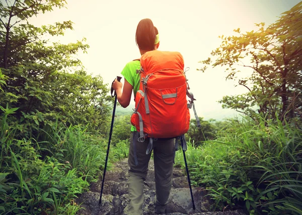 Jonge vrouw backpacker op berg — Stockfoto