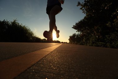 çalışan genç fitness kadın