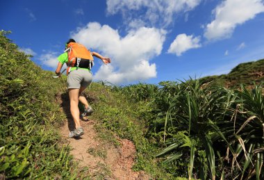 dağda çalışan kadın backpacker