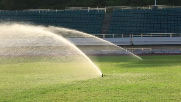 Automatisches Bewässerungssystem auf Gras — Stockvideo