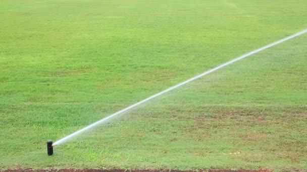 Automatisch irrigatiesysteem op gras — Stockvideo