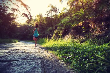 runner atlet ormanı iz üzerinde çalışan