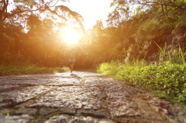 runner atlet ormanı iz üzerinde çalışan.