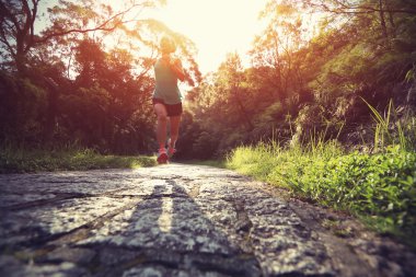 runner atlet ormanı iz üzerinde çalışan.